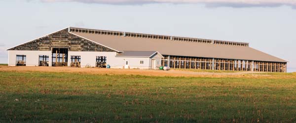 Heifer Facility in Medford, Wisconsin