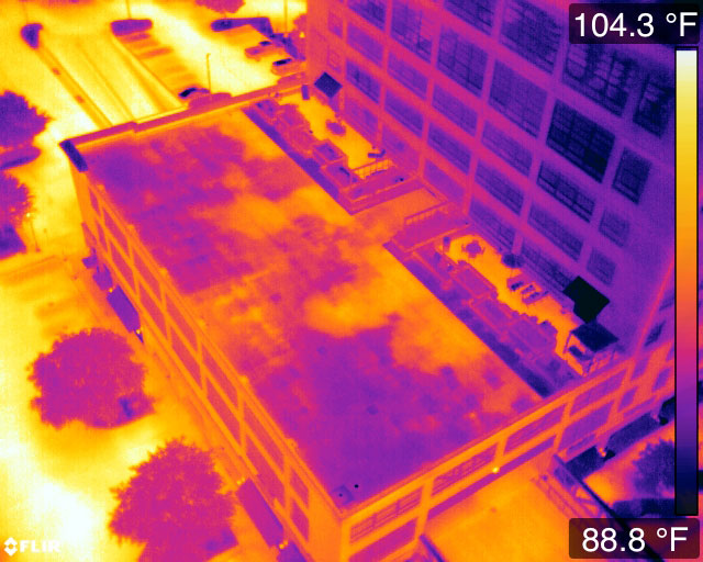 Thermography: Do It Yourself Or Hire Out