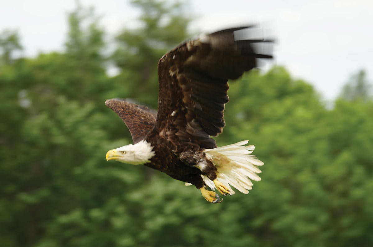 How Can You Keep Your Brand Visible?