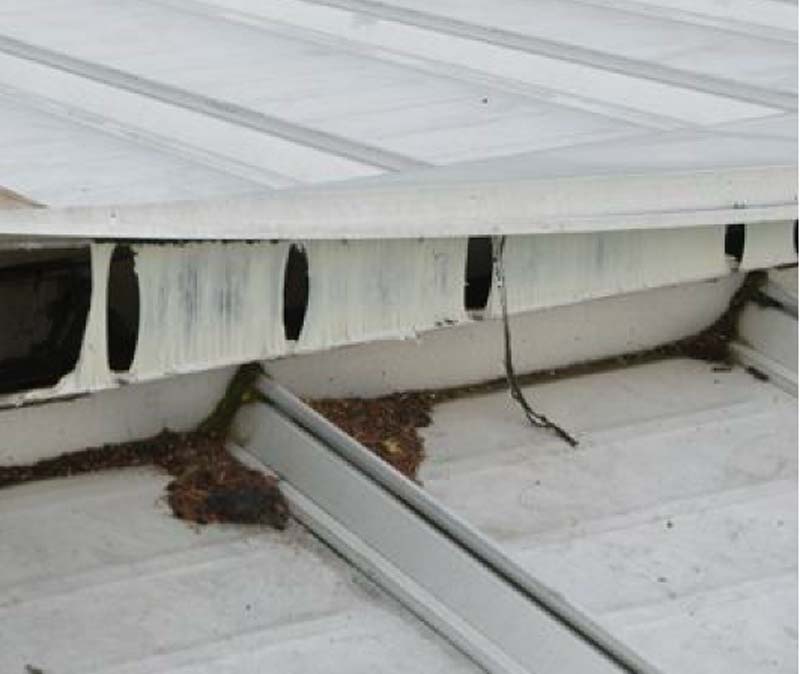 Figure 6: Webbing and cohesion of a proven formulation after 35 years of service. Photo courtesy of Rob Haddock, Metal Roof Advisory Group, Ltd